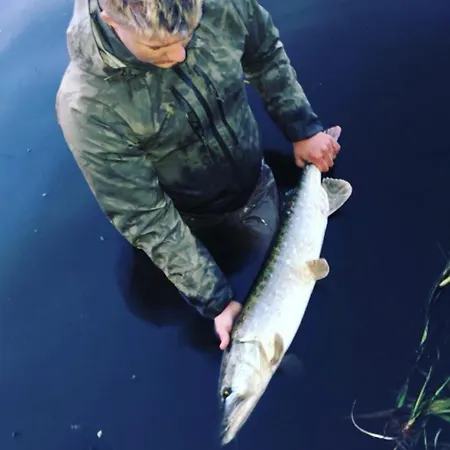 Campingplads Søpark Holstebro