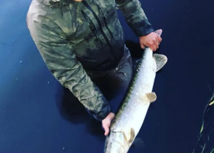 Κάμπινγκ Sopark Holstebro